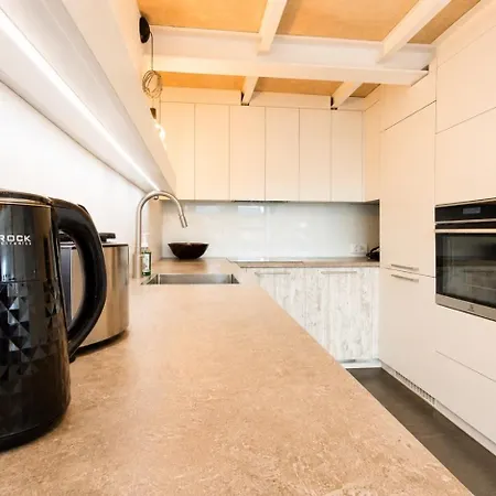 Vincent Grand Loft-near Clinic, Arena & Stadium Kowno