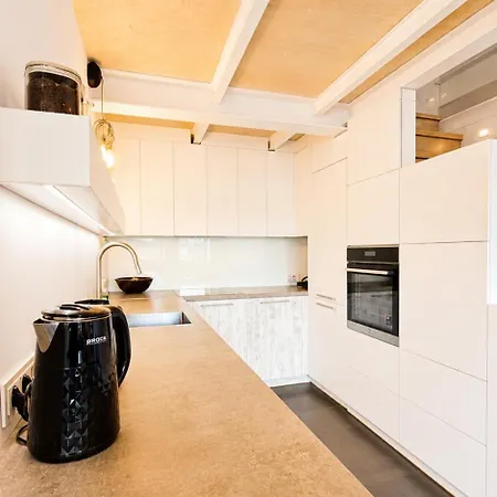 Apartament Vincent Grand Loft-near Clinic, Arena & Stadium Kowno