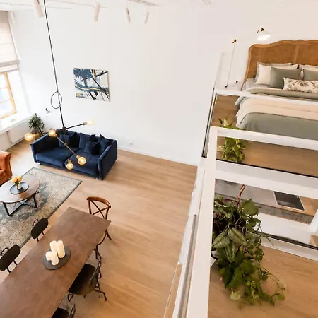 Vincent Grand Loft-near Clinic, Arena & Stadium Kowno